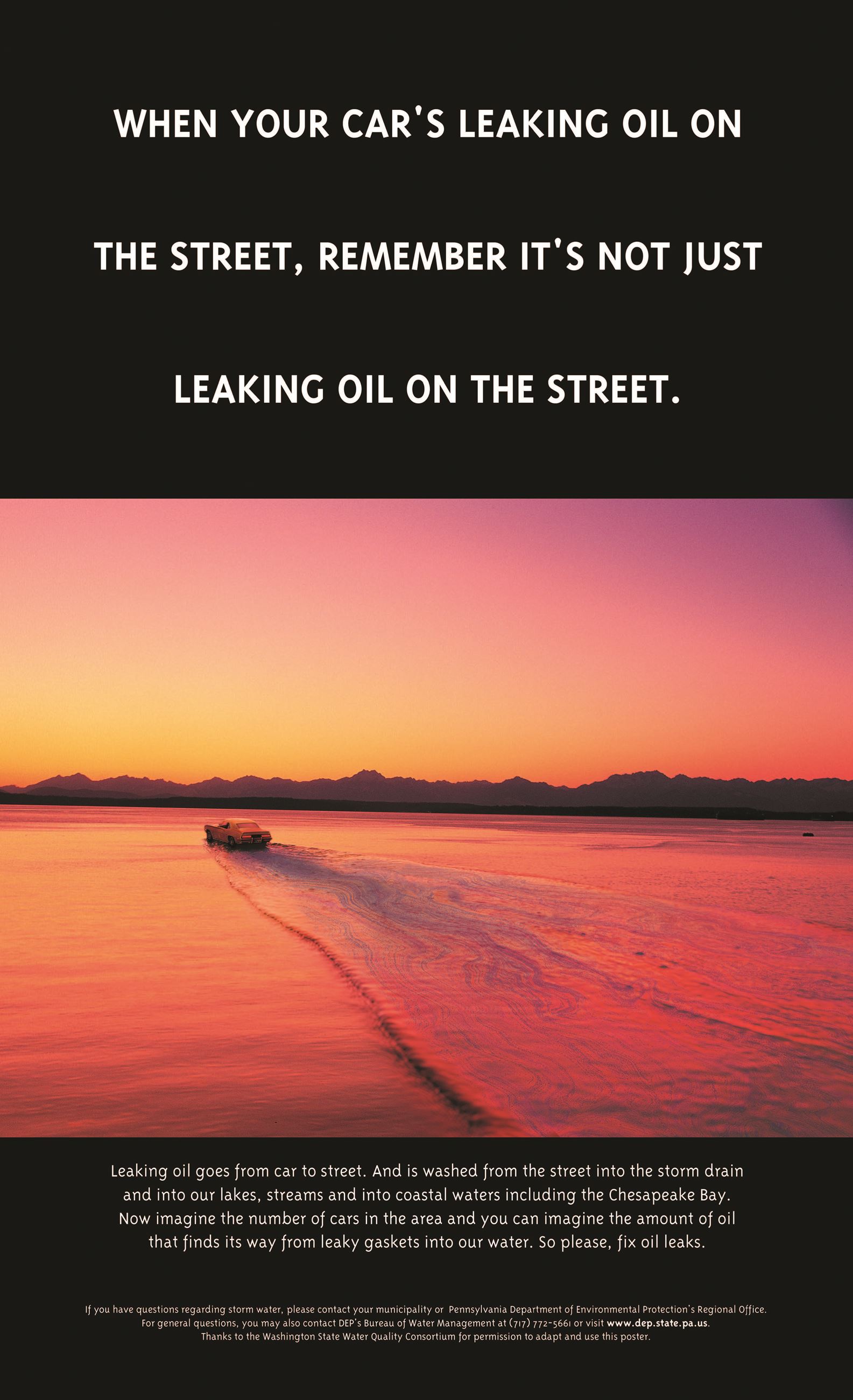 MS4 - Oil Slick Poster